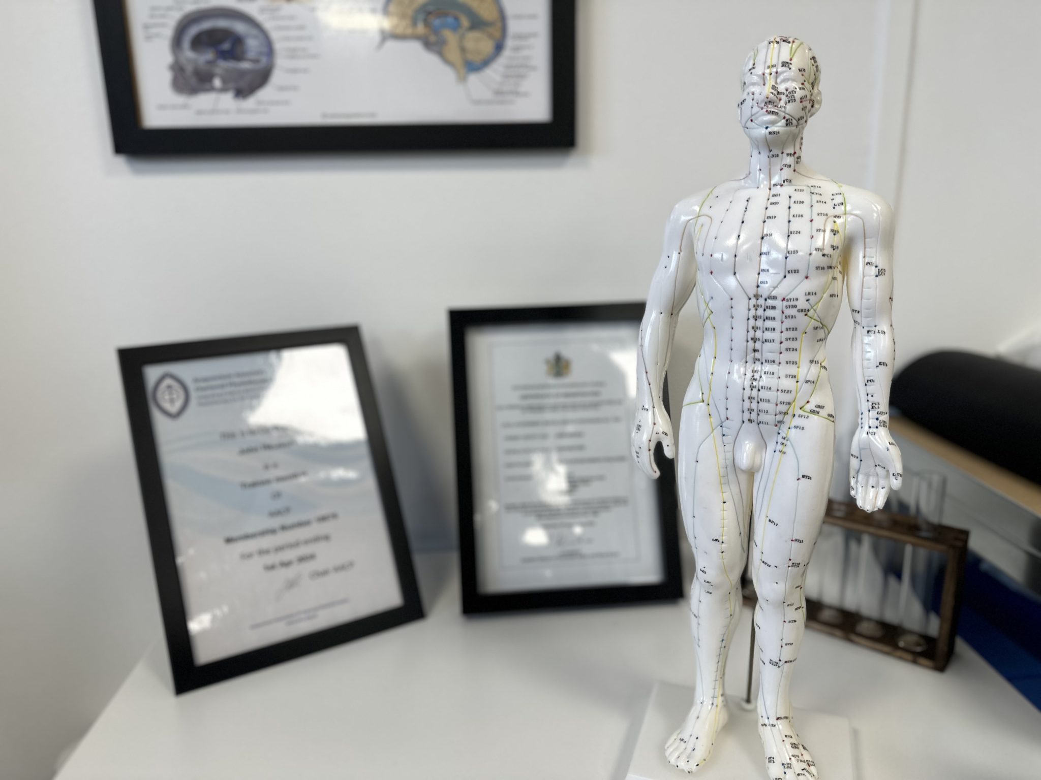 Acupuncture Neuro Physiotherapy Solutions